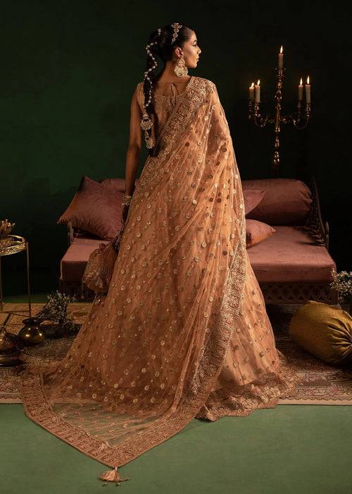 Diara Couture | Onora Wedding Festive | AYLA - WC-2-06 by Maria Faisal - Registered Vendor of : Diara Couture - type : Ladies Clothes - 100% original wedding dresses