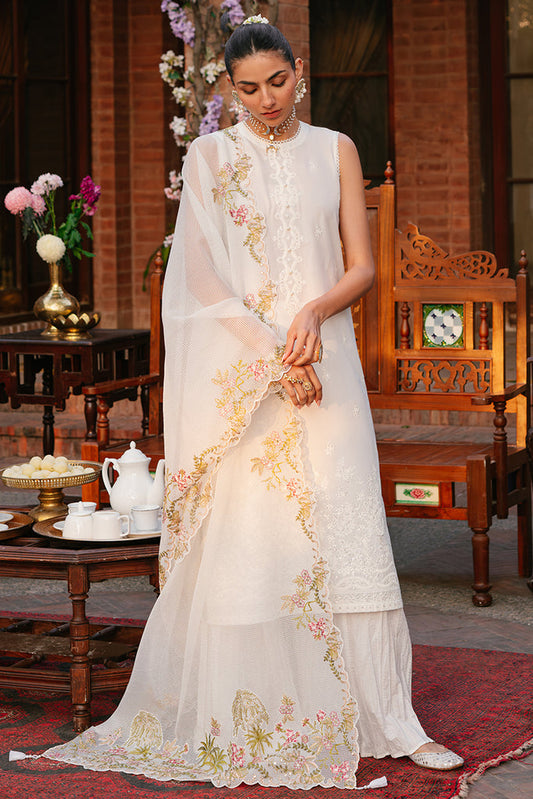 Cross Stitch | Eid Lawn 24 | SYLVAN FLARE - Maria Faisal