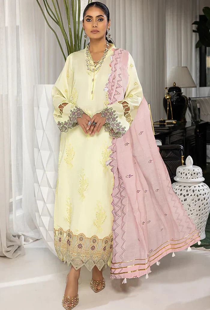 Humdum | Charlotte Chikankari Lawn | D06 - Ladies Clothes 