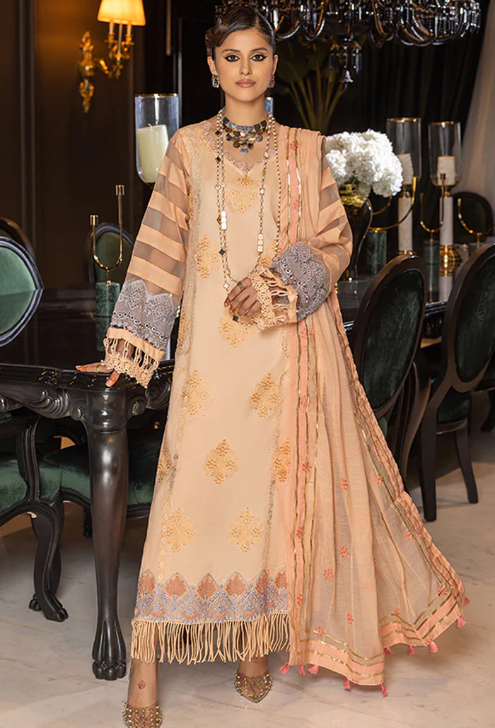 Humdum | Charlotte Chikankari Lawn | D10 - Ladies Clothes 