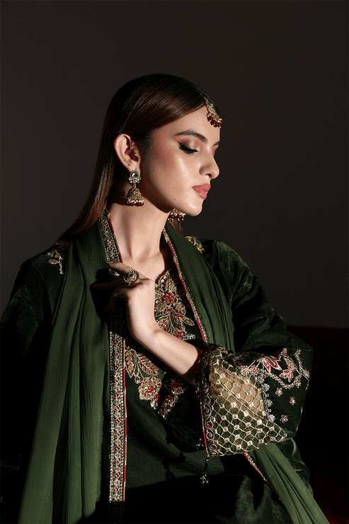Emaan Adeel | Zarposh Velvet 25 | AARISH - Formal Wear - available at Maria Faisal in UK and USA