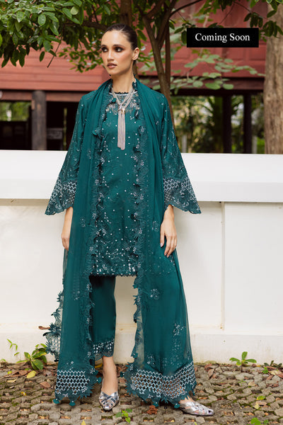 Marjjan | Lovella Winter 25 | MEV-44 B (ZINC) - Ladies Clothes - Maria Faisal