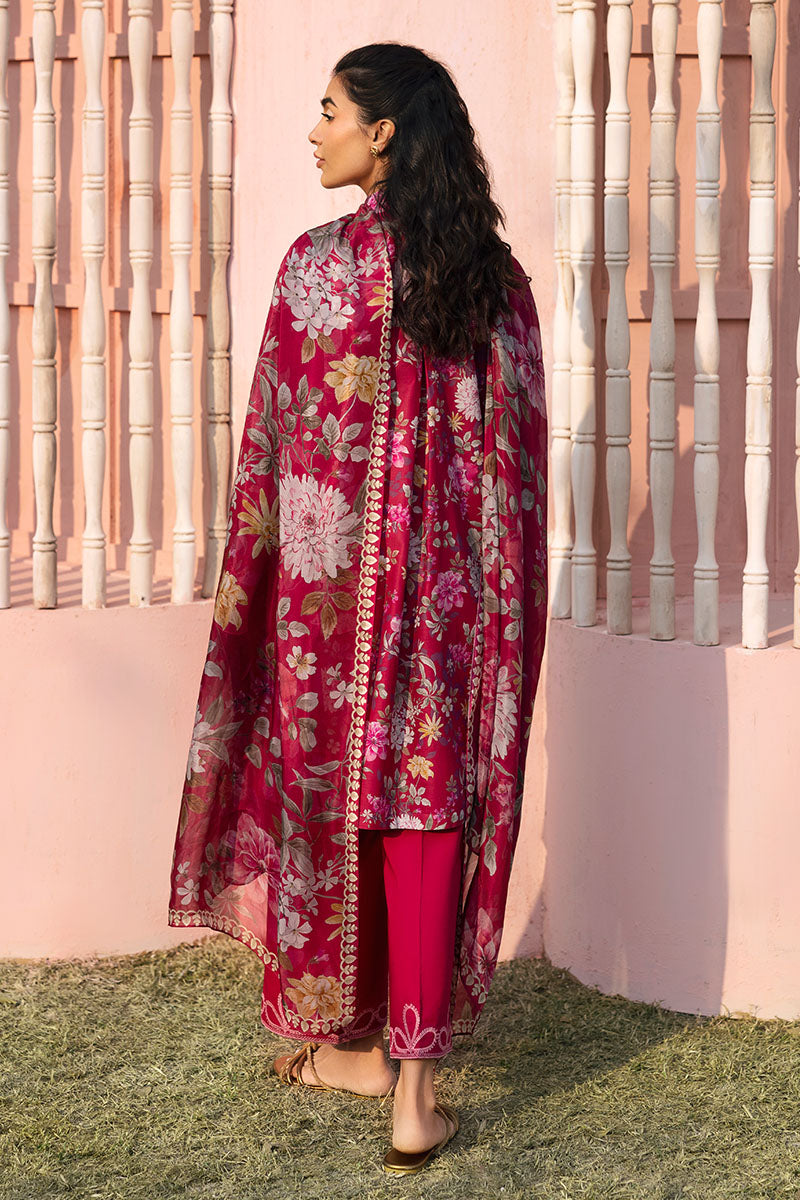 Cross Stitch | Premium Lawn 25 | WHIMSICAL ZEST - Ladies Clothes 