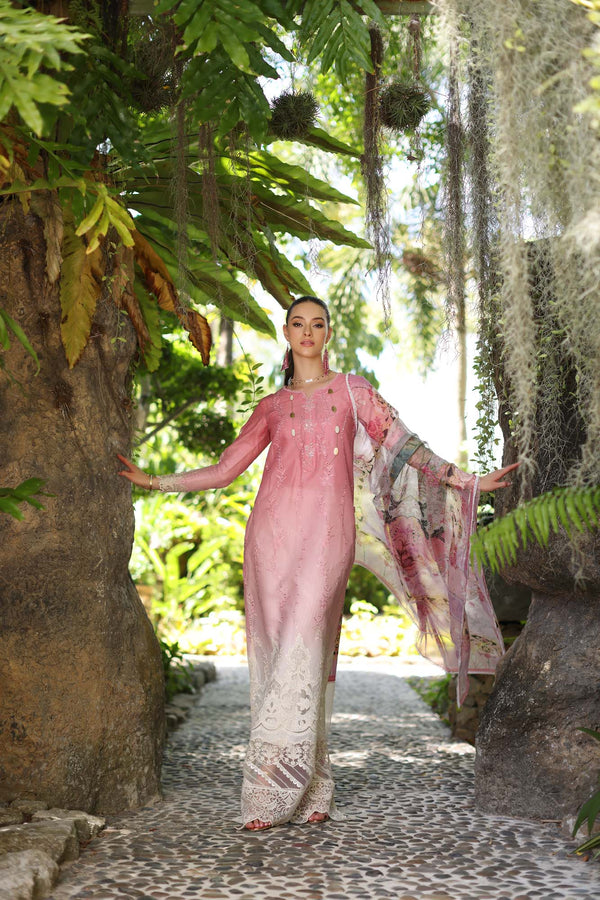 Noor by Saadia Asad | Luxury Chikankari Lawn24 | D1-A Pink Ombre - Ladies Clothes - Maria Faisal