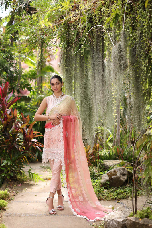 Noor by Saadia Asad | Luxury Chikankari Lawn24 | D7-B Peach Tkm - Ladies Clothes - Maria Faisal