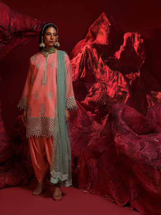 Salitex | Luxury Wear 24 | 40 - Ladies Clothes - Maria Faisal